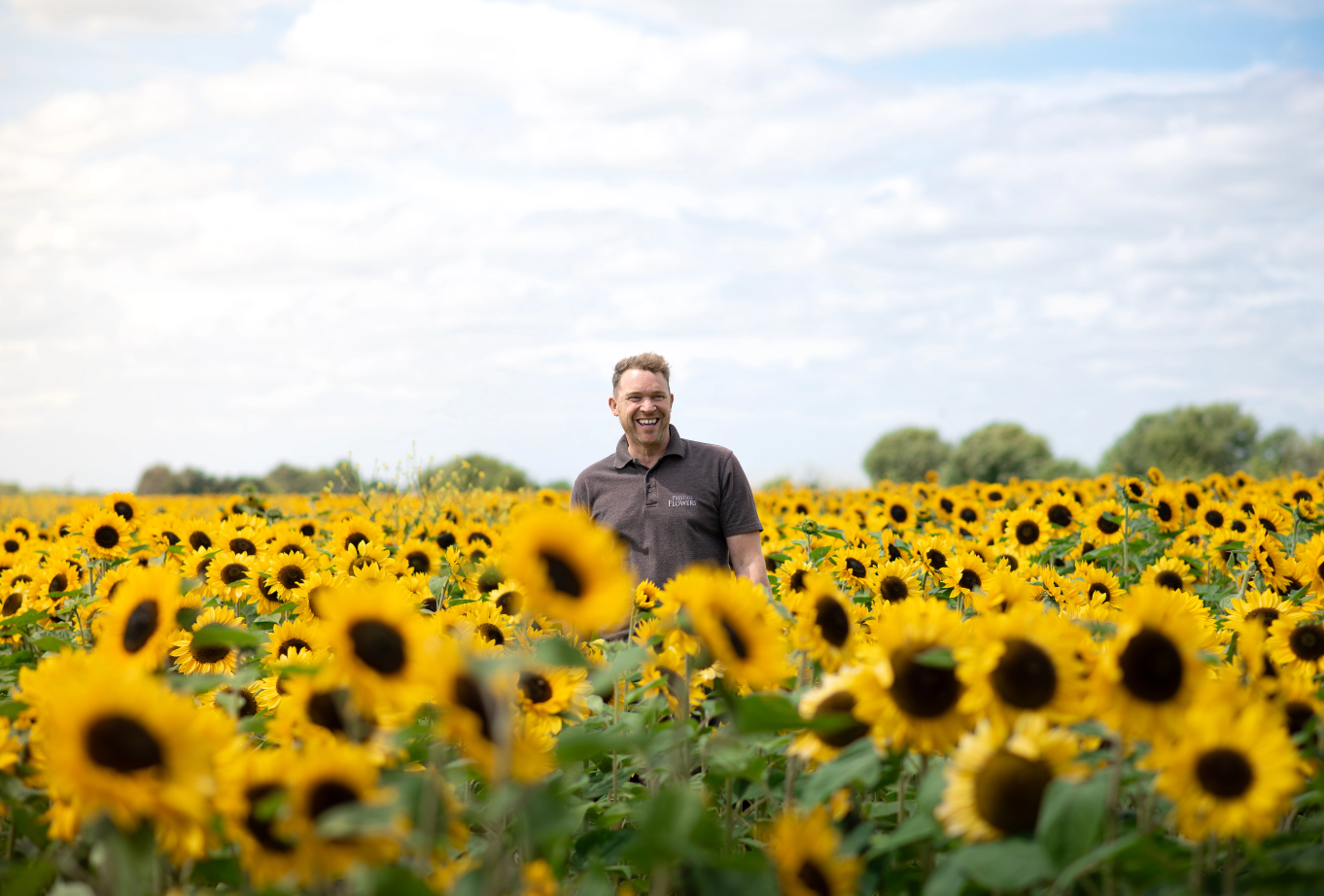 Sunflower Section