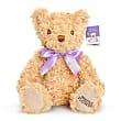 AD2059 - Prestige Bear
