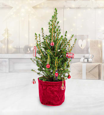 Letterbox mini christmas tree clearance