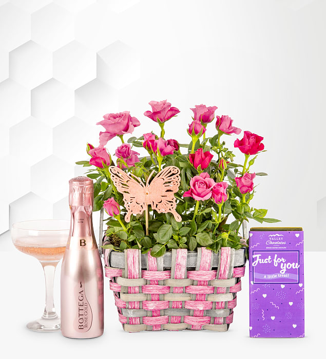 Rose and Bottega
