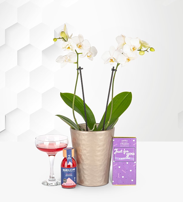 Opulent Orchid Gift 