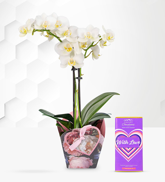 Spring Orchid Love Gift