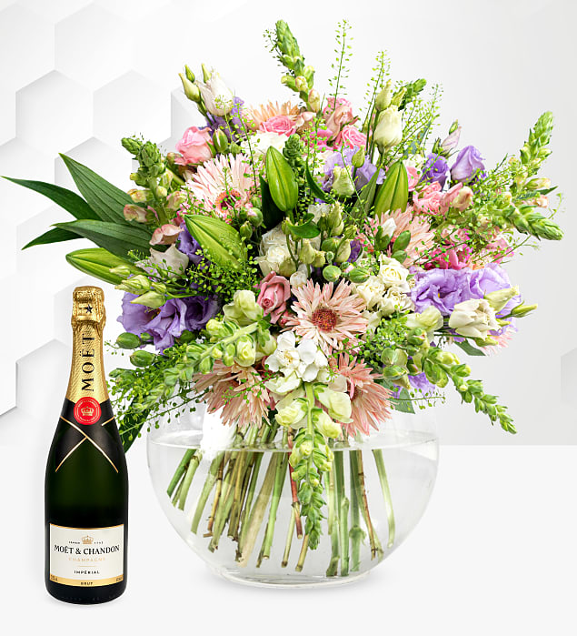 The Splendour & Moet