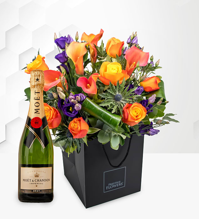 Luxury Tikal & Moet