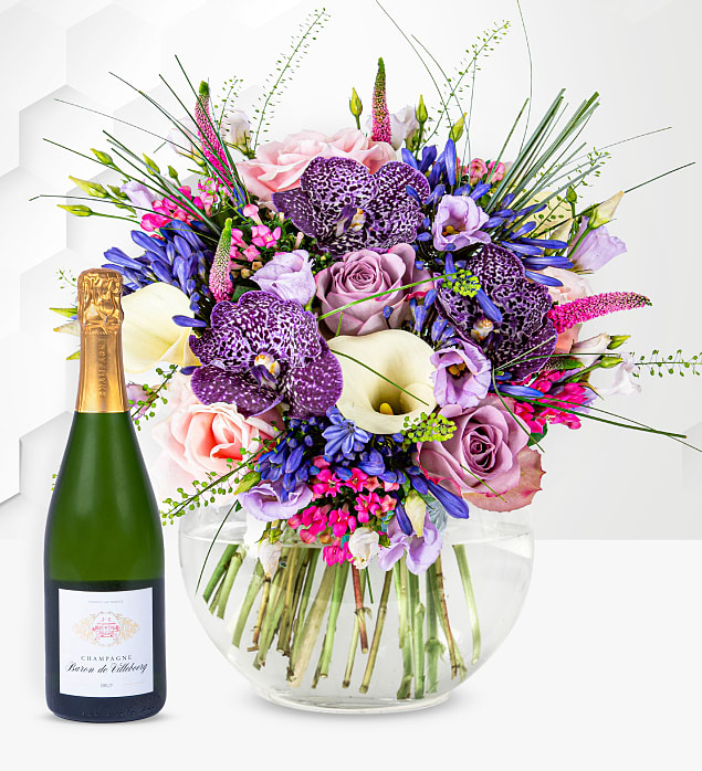Sapphire Medley & Champagne
