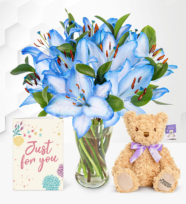 Ocean Lilies with Teddy & Card Medium