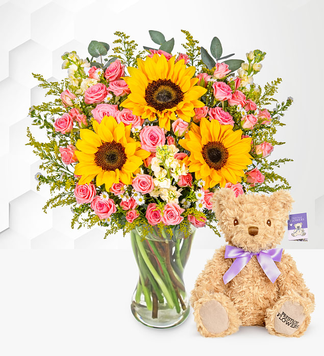 Sunflower Meadows with Teddy Medium