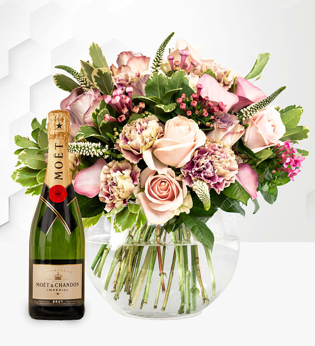 Luxury Orion & Moet 