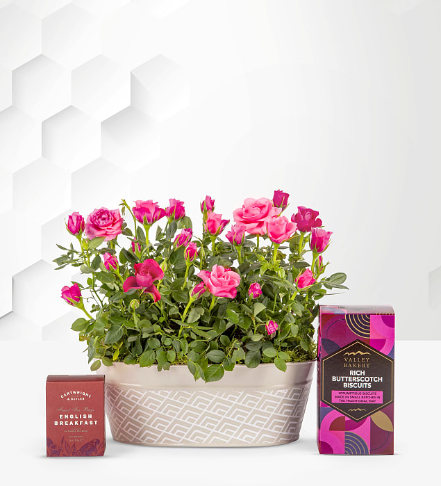 Spring Roses Gift