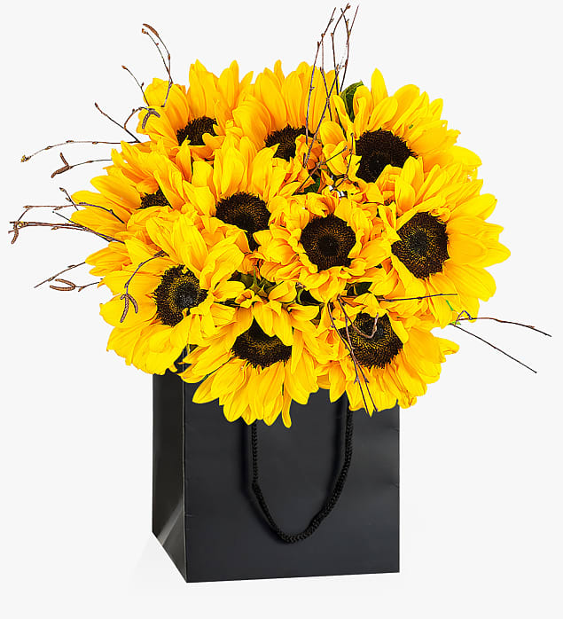 Sunflower Aura