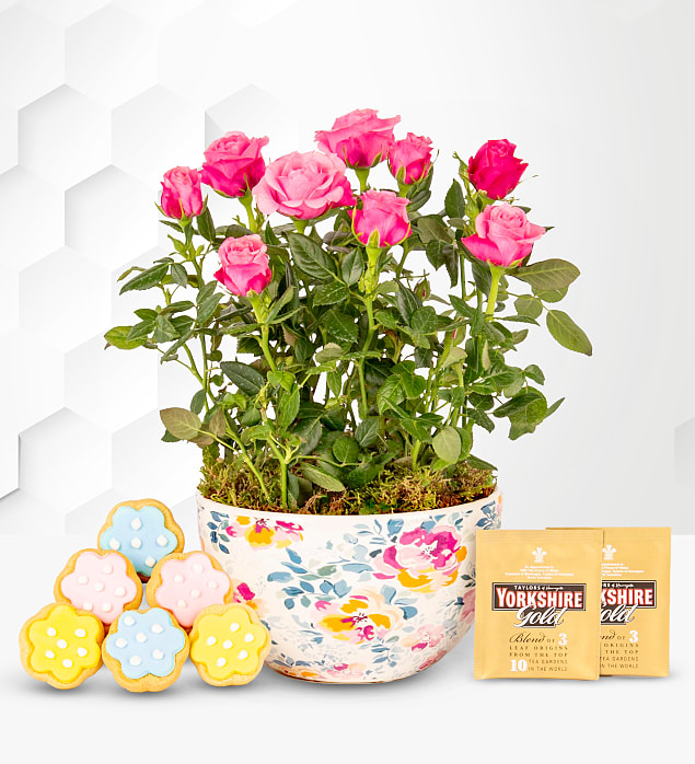 Rose Tea Garden