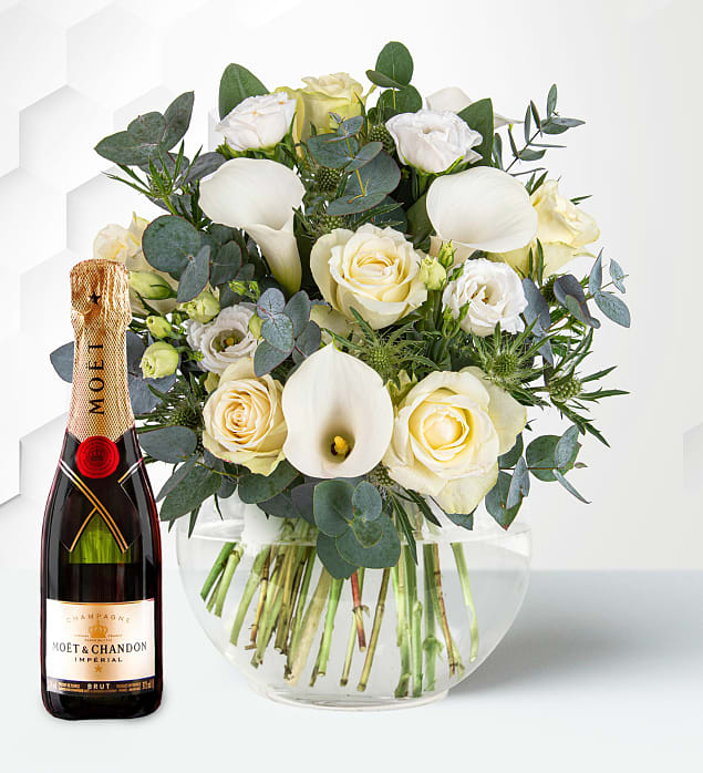 Rome & Moet Medium