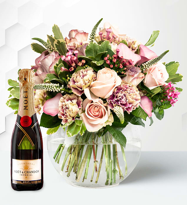 Orion & Moet Medium