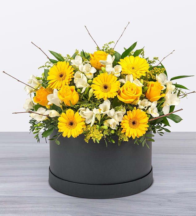Sunshine Hatbox
