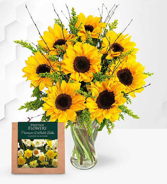 Sensational Sunflowers with Daffodil Bulbs 