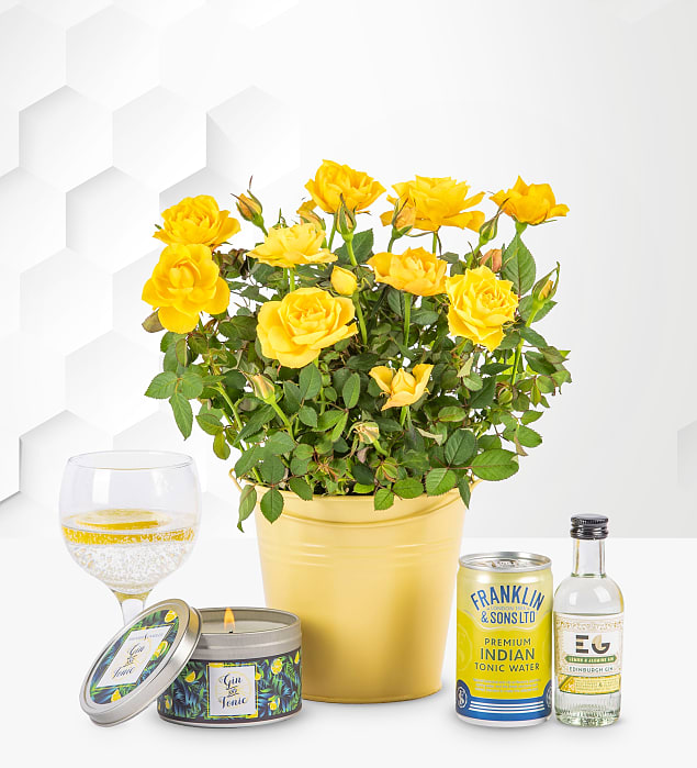 Roses and Gin