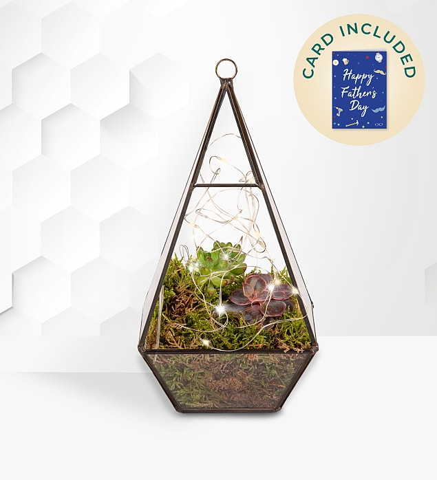 Dad's Organic Terrarium Planter with Card