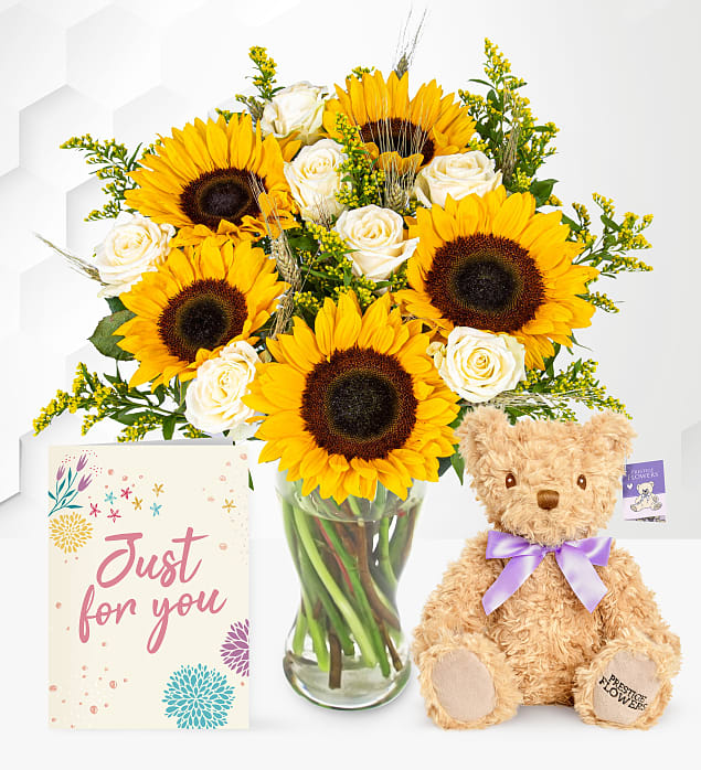 Radiance with Teddy & Card