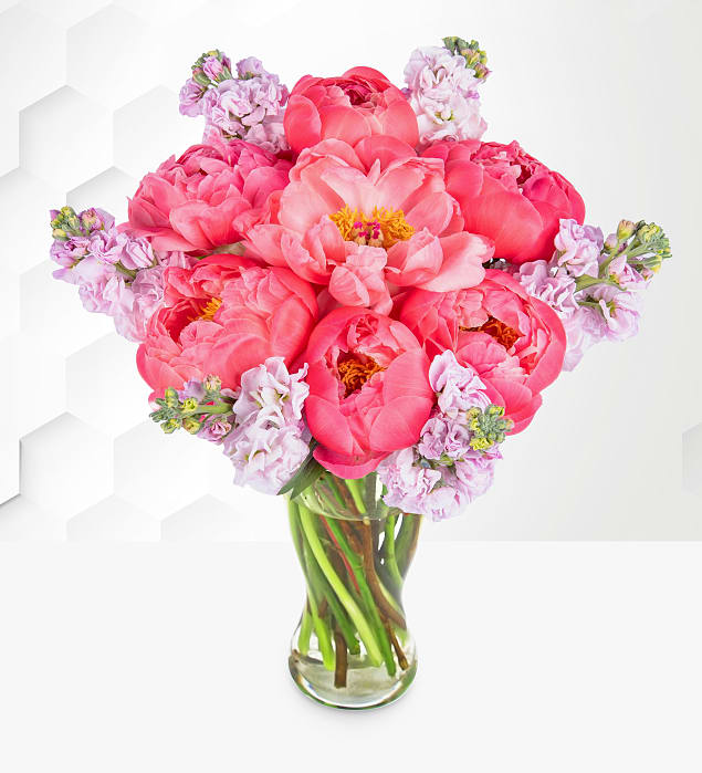 Paradise Peonies 