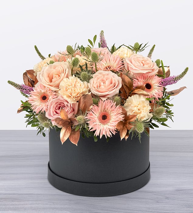 Peach Sherbet Hatbox