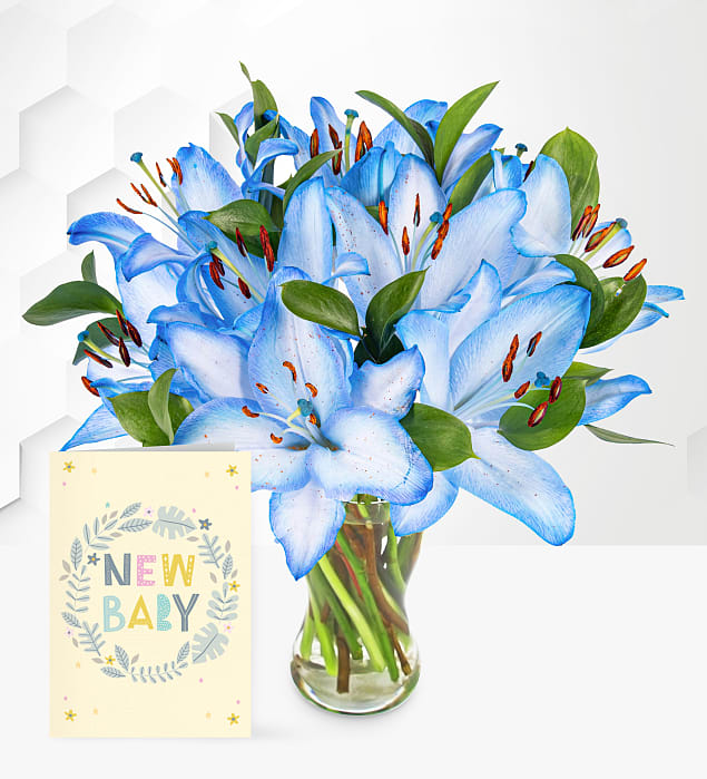 Ocean Lilies with New Baby Card