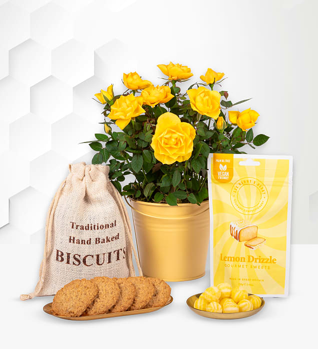 Lemon Rose Gift